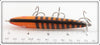 Paw Paw Orange Black Stripes Southern Torpedo