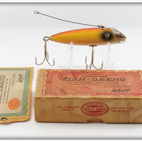 Vintage South Bend Rainbow Fish Oreno Lure In Box 953 RAIN