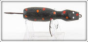 Vintage Barr Royer's Black With Spots Mud Puppy Salamander Lure