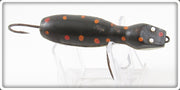 Barr Royer's Black With Spots Mud Puppy Salamander Lure