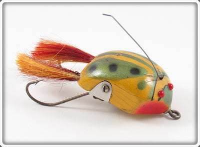 Creek Chub Fisherman Altered Or Prototype Weed Bug With Sunspot Dingbat Hair