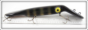 Legend Lures Black & Gold Scale 14" The Legend Lure