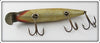 Creek Chub Early Golden Shiner or Silver Shiner Pikie