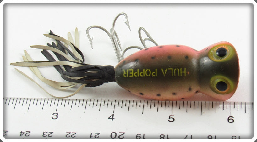 Fred Arbogast Rainbow Trout 5/8 Ounce Hula Popper Lure For Sale