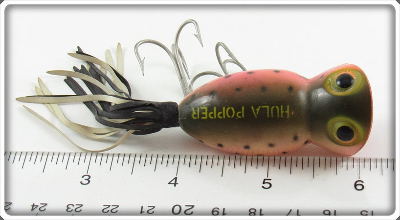 antique fishing lures hula popper Fred Arbogast Rainbow Trout 5/8 Ounce Hula Popper Lure For Sale