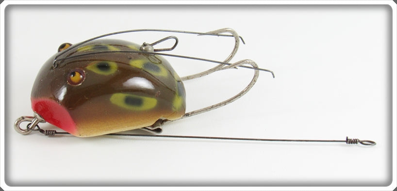 Vintage Creek Chub Frog Spot Weed Bug Lure In Box 2819 For Sale