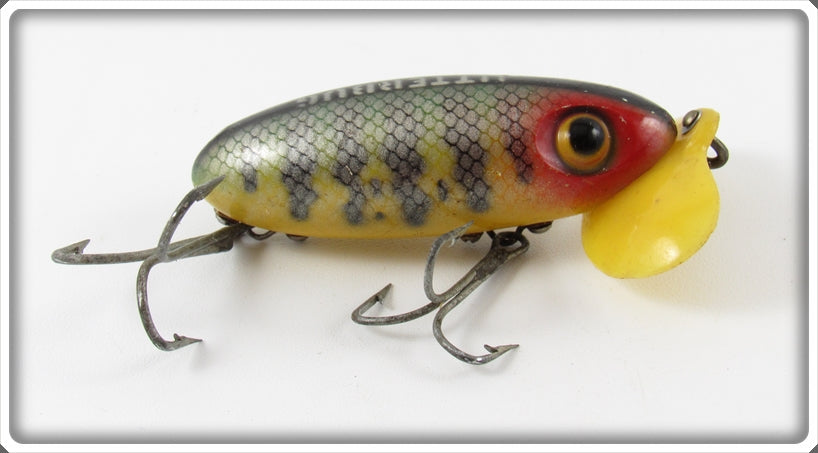 Vintage Fred Arbogast Perch Plastic Lip Jitterbug Lure For Sale