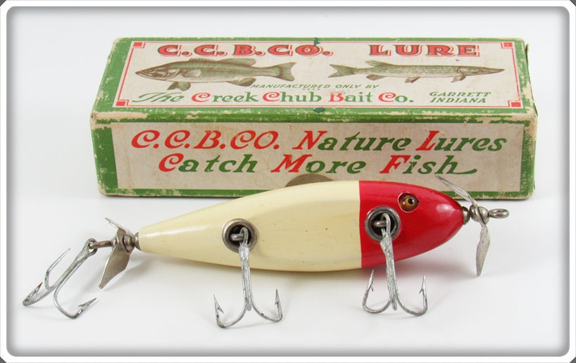 Creek Chub White And Red Injured Minnow Lure In Box 1502 For Sale