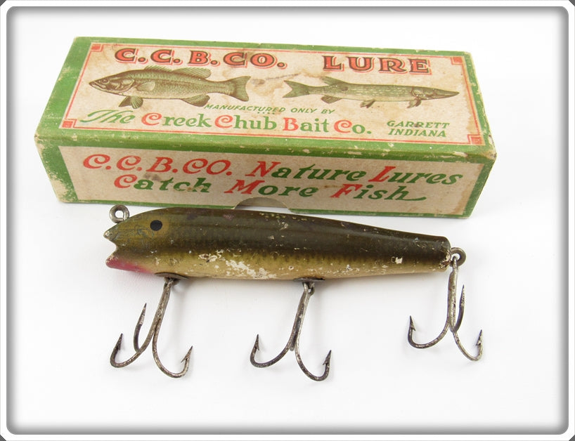 creek chub darter fishing lure Vintage Creek Chub Greenback Darter In Box 2009 Special For Sale