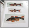 Folk Art Fish Decoys With Values Book Donald Petersen