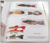 Folk Art Fish Decoys With Values Book Donald Petersen