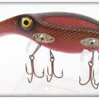 Paw Paw Gold Shiner Scale Platypuss 3539