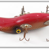 Paw Paw Gold Shiner Scale Platypuss 3539