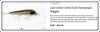 Contemporary Chautauqua Wiggler Special Reproduction