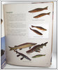 Duluth Fish Decoys By David Perkins Identification Book