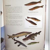 Duluth Fish Decoys By David Perkins Identification Book