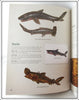 Duluth Fish Decoys By David Perkins Identification Book