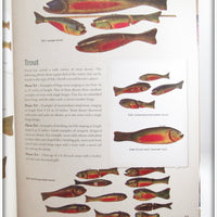 Duluth Fish Decoys By David Perkins Identification Book