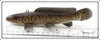 James Stangland Bowfin Spearing Decoy