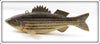 James Stangland Striped Bass Spearing Decoy