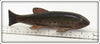 Chautauqua Lake New York Ice Spearing Decoy