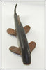 Chautauqua Lake New York Ice Spearing Decoy