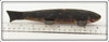 Chautauqua Lake New York Ice Spearing Decoy