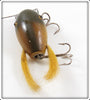 Creek Chub Golden Shiner Dingbat In Box 5104