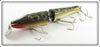 Creek Chub Frog Jointed Pikie 2619
