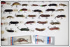 Huge Lot of 81 Rebel Crawfish Lures