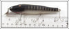 Creek Chub Black Scale Pikie In Box 733