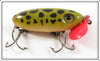 Arbogast Frog Plastic Lip Jitterbug In Picture Box