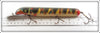 Ed Latiano Wild Multi Color Musky Lure