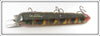 Ed Latiano Wild Multi Color Musky Lure