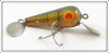 Vintage Tropical Bait Co Perch Guppy Lure