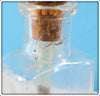 Shakespeare Glass Fly Oil Bottle