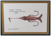 Daniel Lindvig Krantz & Smith's Chauatauqua Minnow Print