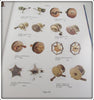 ** USA ONLY ** Fishing Tackle Antiques & Collectibles Vol 2 Karl White