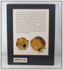 ** USA ONLY ** Collectible Fishing Reels With Price Guide Carl Caiati