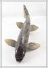 Rick Whittier North Dakota Walleye Decoy