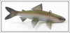 Paul McNeal Minnesota Rainbow Trout Decoy