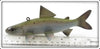 Paul McNeal Minnesota Rainbow Trout Decoy