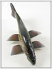 Paul McNeal Minnesota Trout Decoy