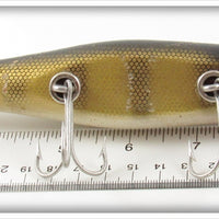 Vintage Creek Chub Perch Uncatalogued Glass Eye Giant Injured Minnow