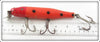 Creek Chub Orange Spotted Glass Eye Husky Pikie 2330