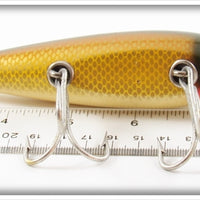 Creek Chub Golden Shiner Husky Injured Minnow In Box 3504