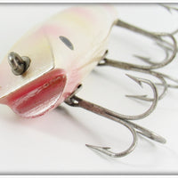 Creek Chub Pearl Darter 2038