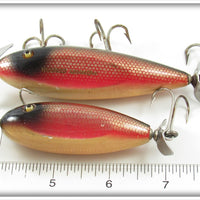 Creek Chub Redside Injured Minnow & Baby Injured Minnow Pair