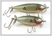 Creek Chub Silver Shiner Injured Minnow & Baby Injured Minnow Pair