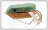 Shurebite Weedless Frog In Box